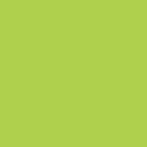 PAPEL FEDRIGONI A4 LISO 80G LIMEGREEN X20U /600528