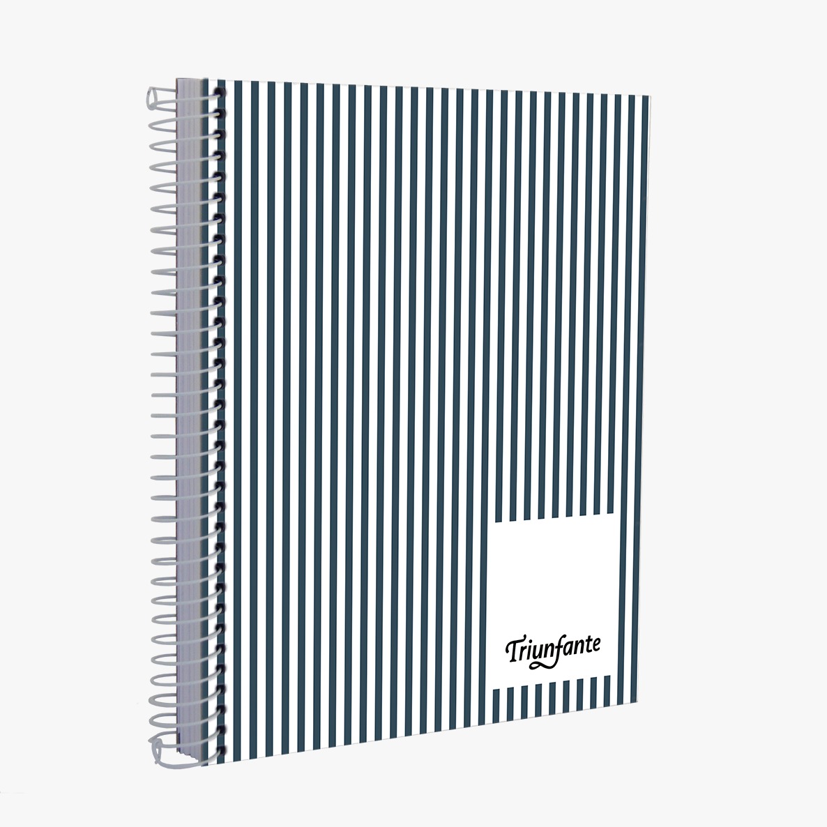 CUADERNO TRIUNFANTE C/ESP A5 CLASIC 100H CUADROS C/U /976858