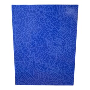CUADERNO N3 19X23 ARANA AZUL 48HJS RAYAS RUY DIAZ C/U