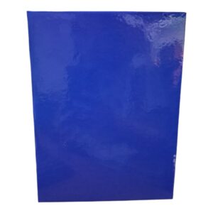 CUADERNO N3 19X23 AZUL LISO 48HJS RAYAS RUY DIAZ C/U