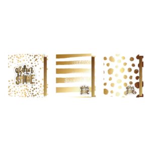 CARPETA 2 TAPAS N3 REXON BORN THE SHINE C/U