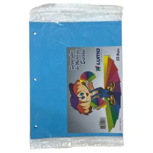 SEPARADOR N3 LUMA CARTULINA CELESTE X25HJS C/U