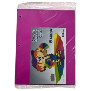 SEPARADOR N3 LUMA CARTULINA FUCSIA X25HJS C/U