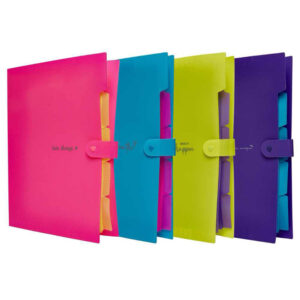 CARPETA DECORADA 5 DIVISIONES NEON C/U