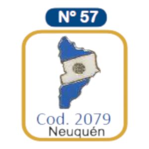 PIN METAL ARGENTINA N57 NEUQUEN C/U